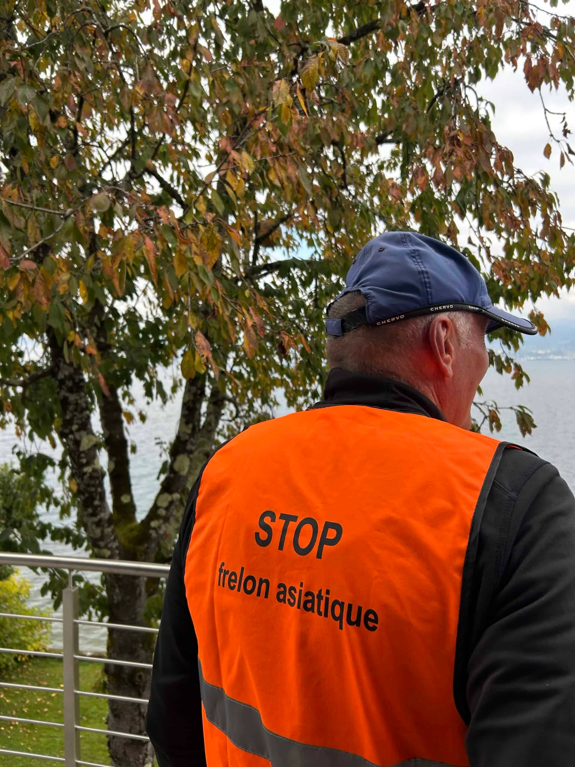Persona con un gilet arancione con la scritta « STOP frelon asiatique »