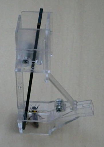 Attrape-reine set – Image 3